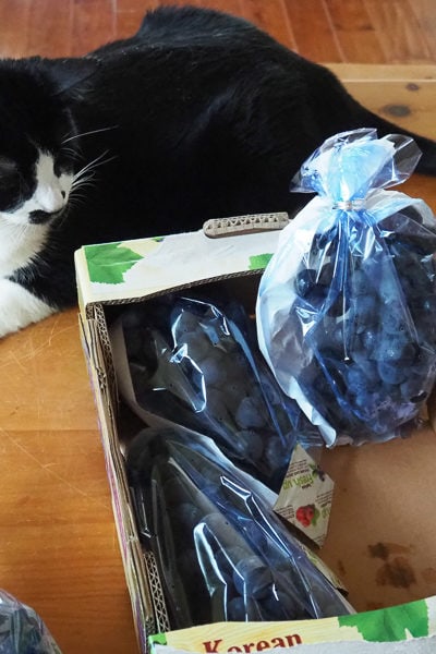 ４房入っていました