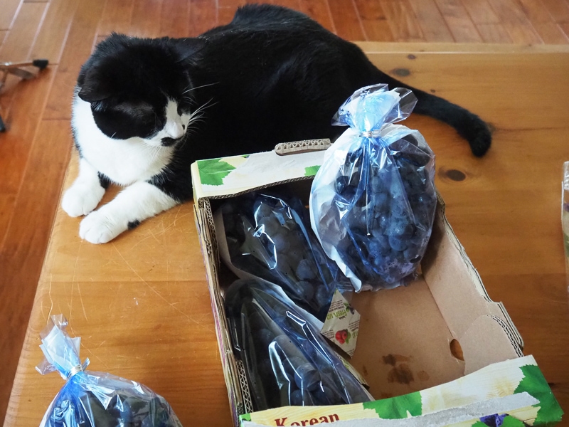 ４房入っていました