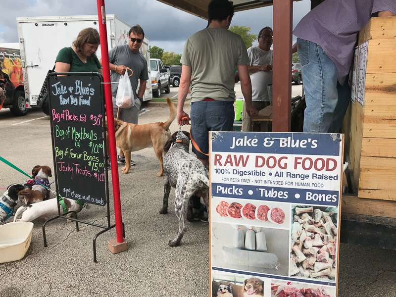 わんちゃんのごはん