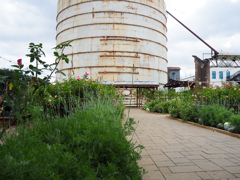 手入れされた庭