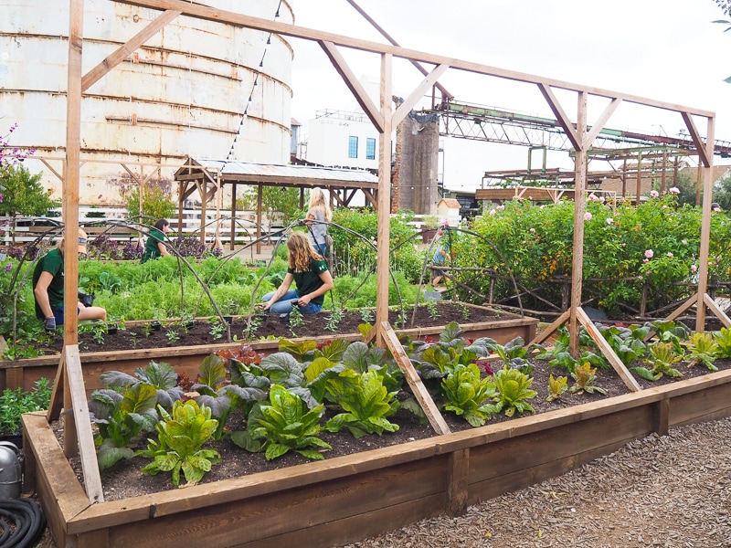 こんな庭が欲しい