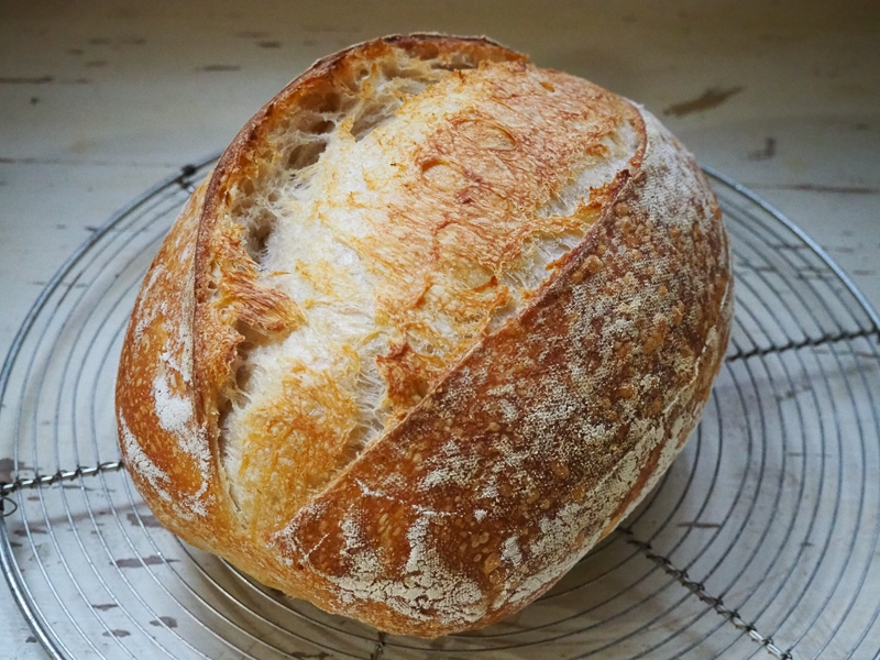 オーバルはいい感じに