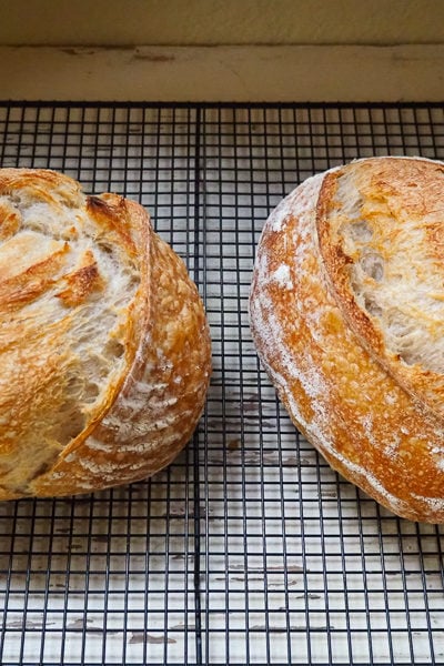 オーバル&ラウンドサワードウ