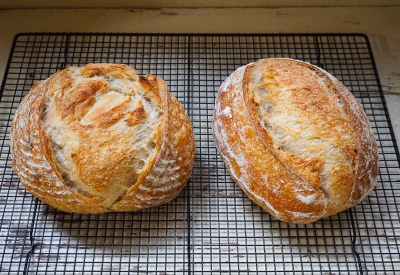 オーバル&ラウンドサワードウ