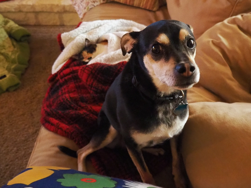 ぷぷぷ。変な顔～