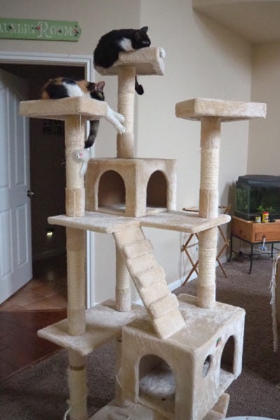 キャットタワー