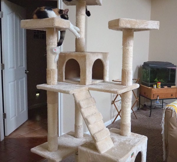 キャットタワー