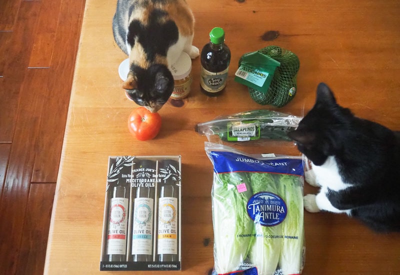 トレジョでのお買い物