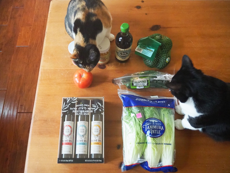 トレジョでのお買い物