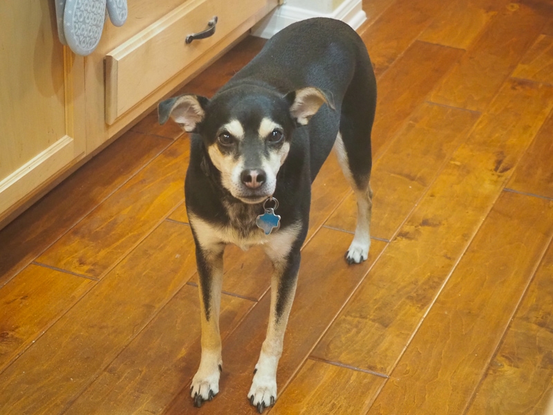 こわくないよ♪