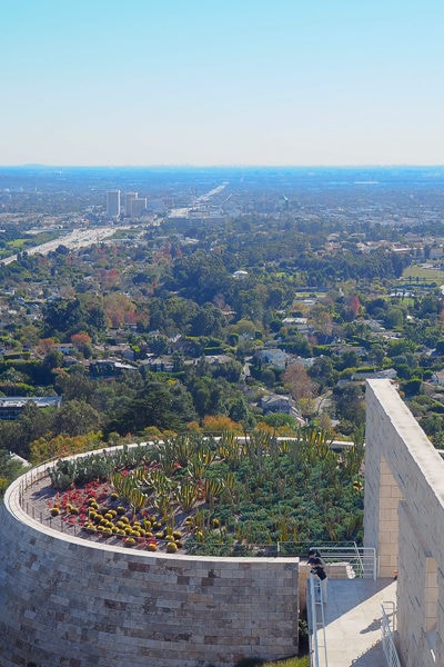 カクタスガーデン