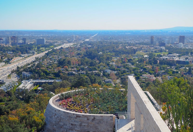 カクタスガーデン