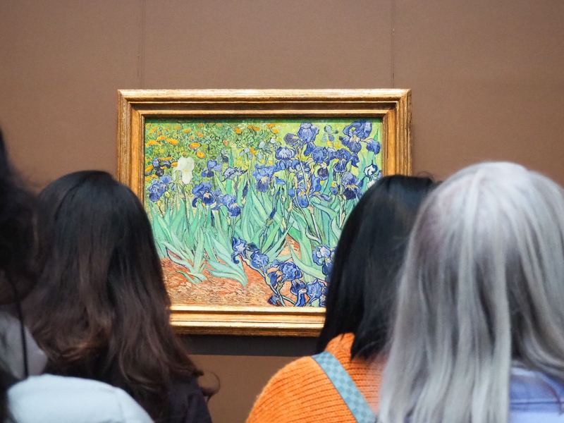 ゴッホのアイリス