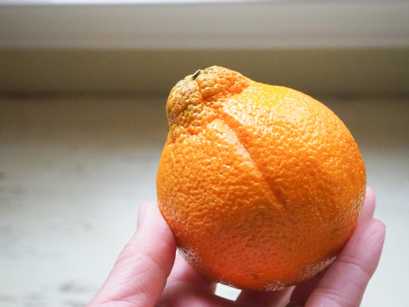 お相撲さんみたい？