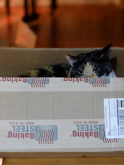 新しい箱だから、とりあえず