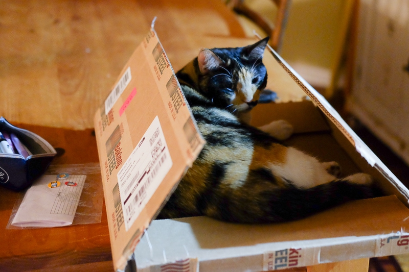 乗っかってるだけ