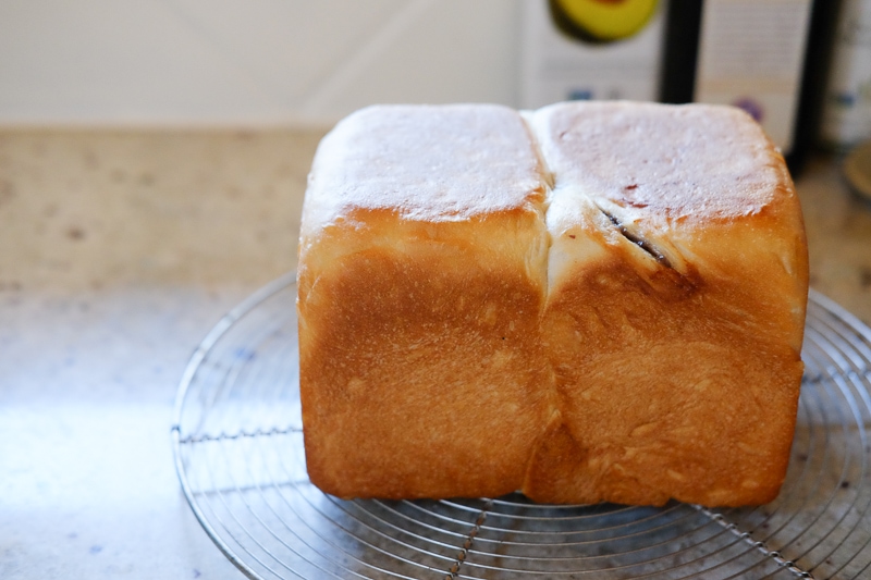 あんこ、ちらり