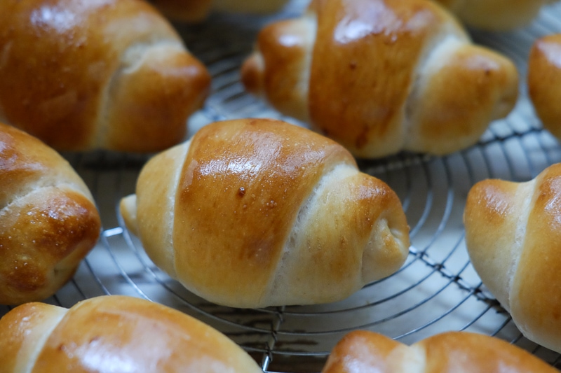 ぷっくりかわいい♪