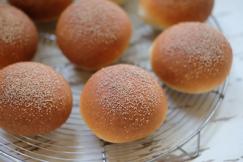 まん丸。かわいい。