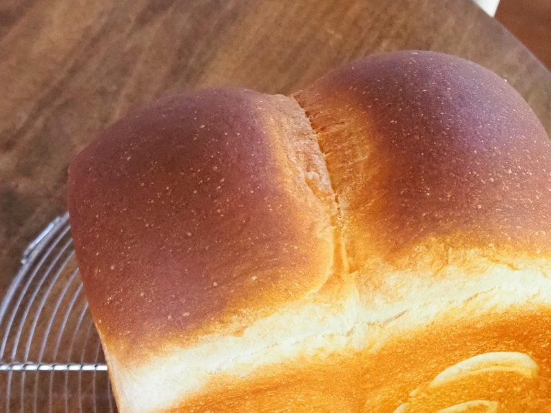 中心のもりあがりも♪