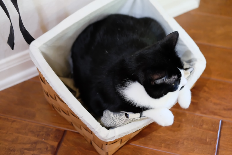 バスケットの中