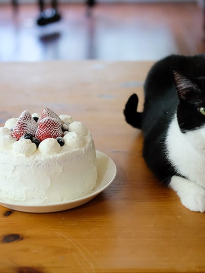 あんこちゃんのケーキ？