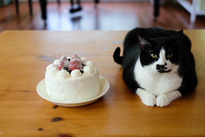 あんこちゃんのケーキ？