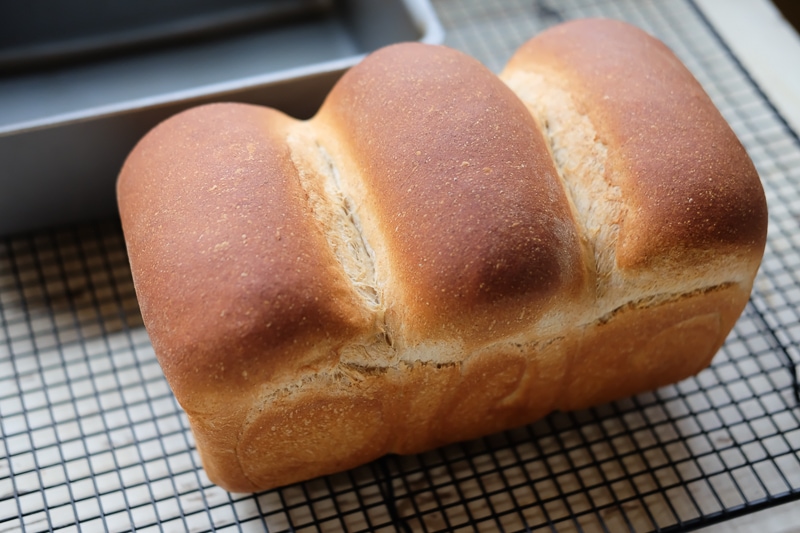 いい感じに膨らんだ♪