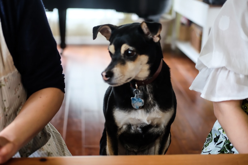 横顔はかわいいのに