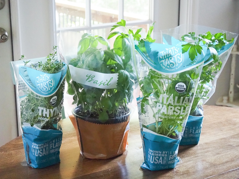 オーガニックハーブ