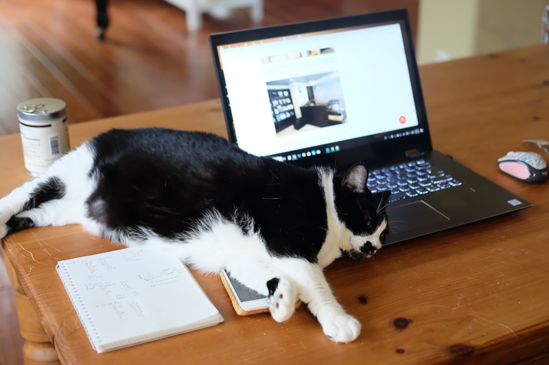 乗っかってます