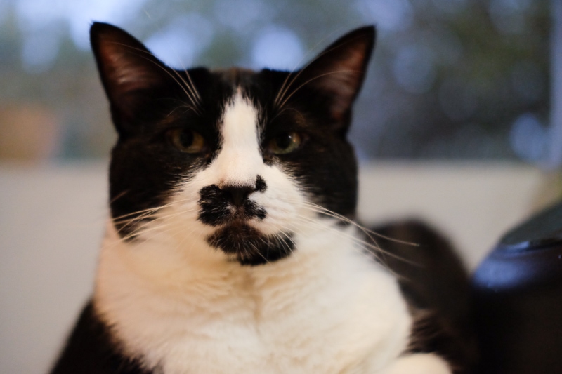 美人さん（笑）