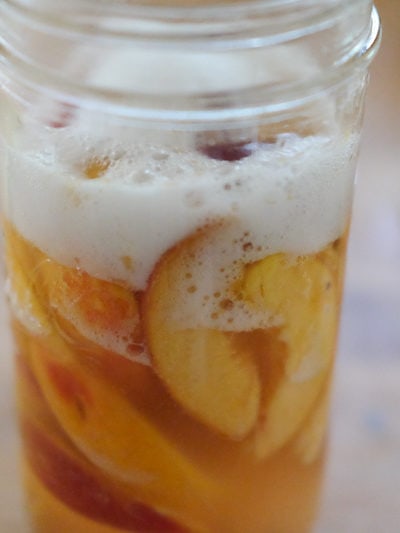 テキサスピーチ酵母