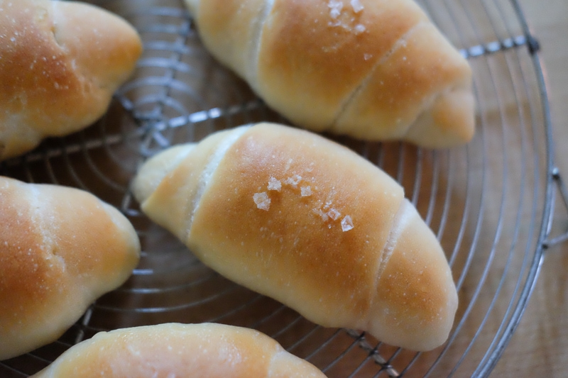 コロンと可愛い形です