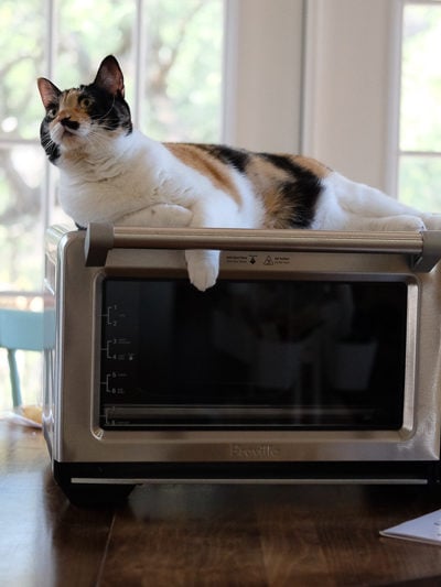 わたしの方が強いのよ