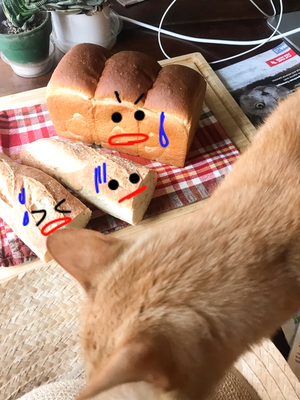 やばい。食べられちゃう！💦