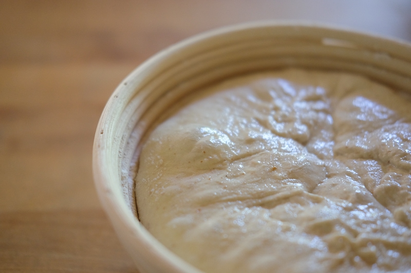 ぽこぽこしてます