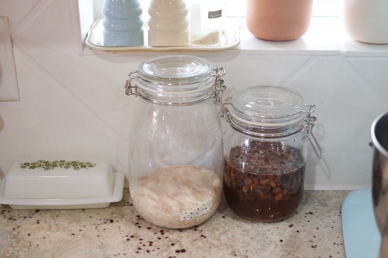 レーズン酵母と元種