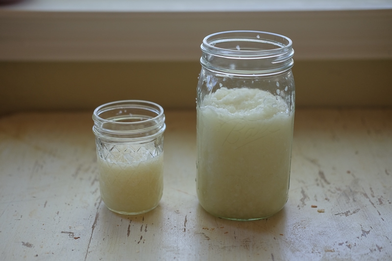 玉ねぎ酵母２種類