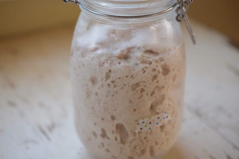 元気な元種出来た！