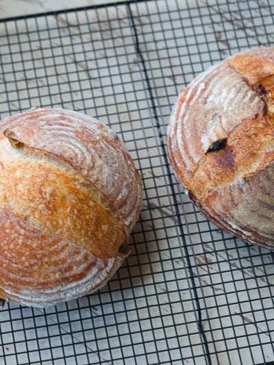 2種類のサワードウ