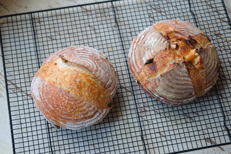 2種類のサワードウ