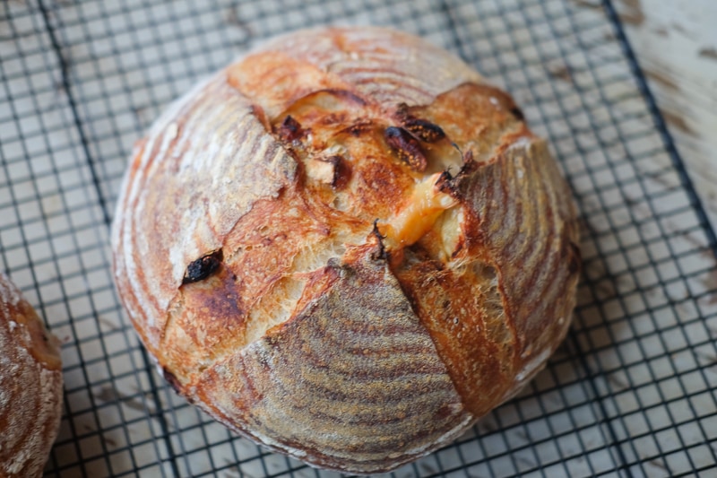 フィグ＆ブリーチーズ入り