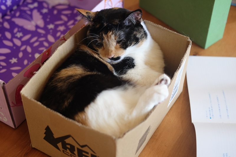 お気に入りの箱