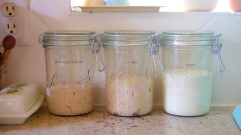 自家製酵母＆ヨーグルト