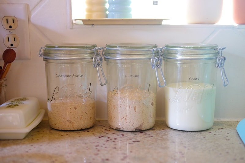 自家製酵母＆ヨーグルト