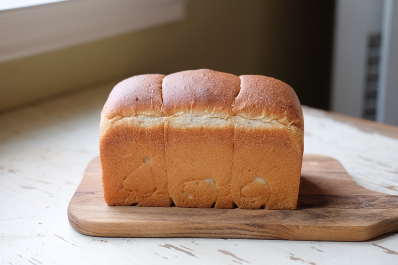 見た目はいい感じ