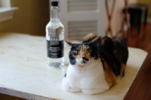 これは何ですか？