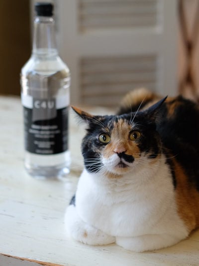 これは何ですか?