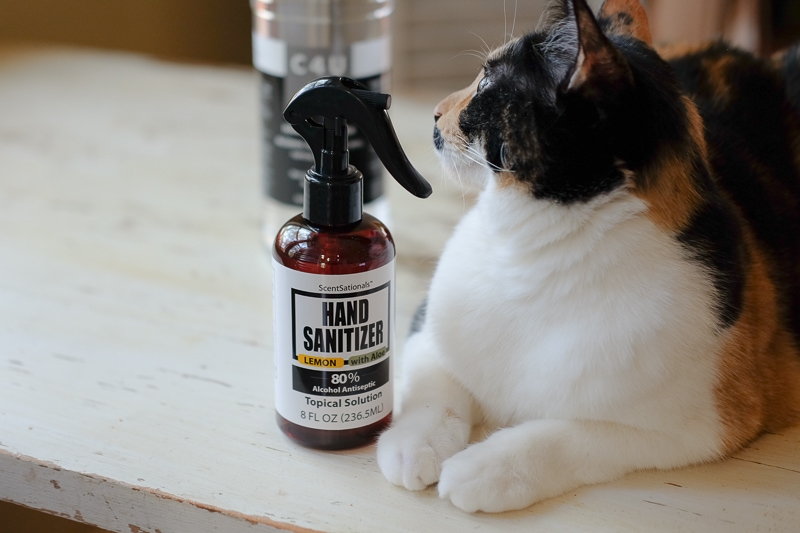 普通のもあったよ